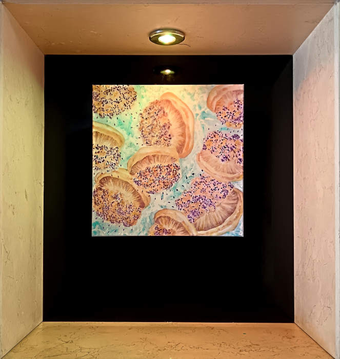 "Surfish", mostra di Tiziana Sanna: Cotylorhiza tuberculata (Medusa Cassiopea)