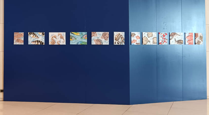 "Surfish", mostra di Tiziana Sanna: le 12 tavole delle specie del Mar Mediterraneo