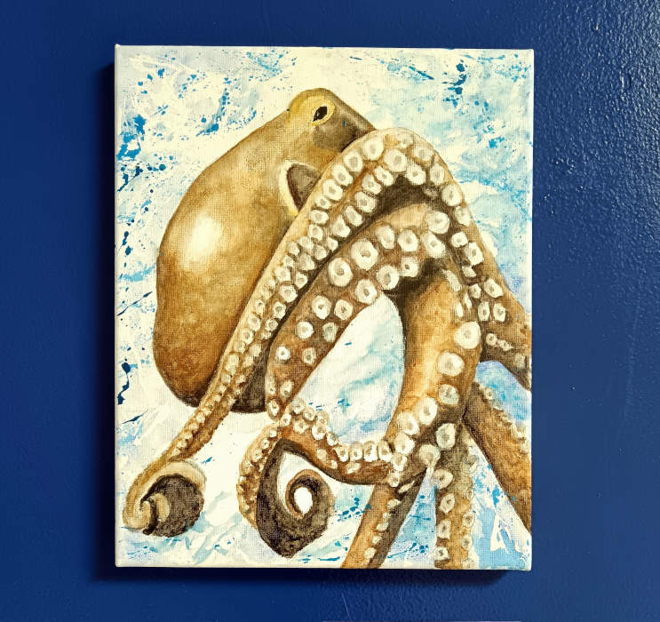 "Surfish", mostra di Tiziana Sanna: Octopus vulgaris (polpo)
