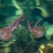 ? Depositphotos