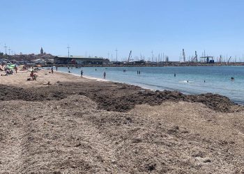 Rimozione della posidonia al Lido di Alghero