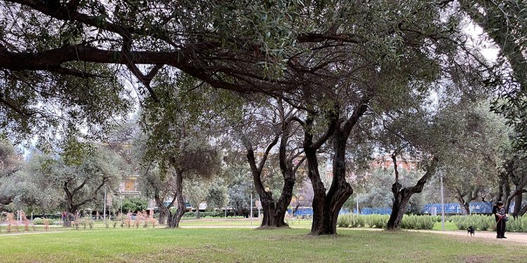 Uno spazio verde di Cagliari