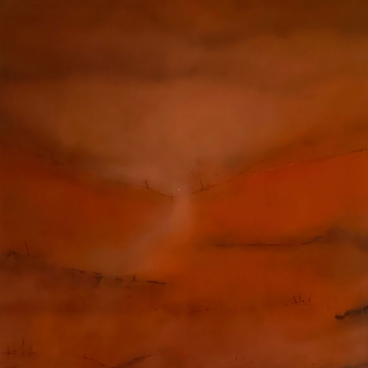 "Velvet Two" di Roberto Meloni, mostra a cura di Alessandra Menesini