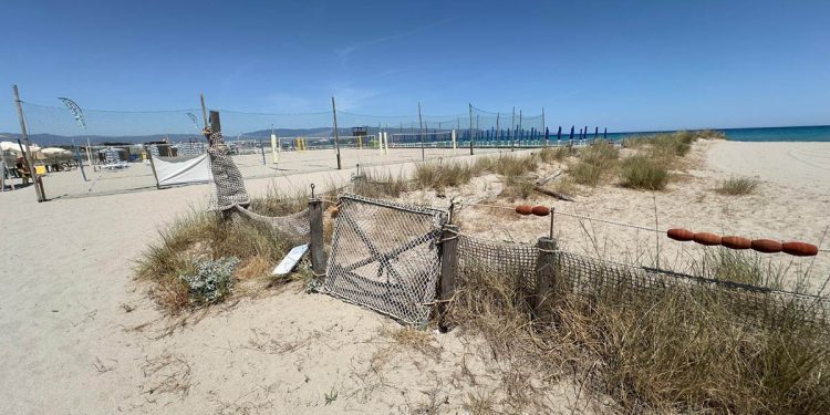 Cagliari, l'area cani del Poetto