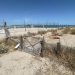 Cagliari, l'area cani del Poetto