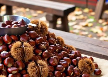 Castagne di Aritzo