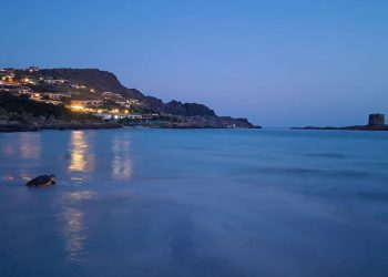 Una tartaruga Caretta caretta depone le uova sulla spiaggia La Pelosa di Stintino