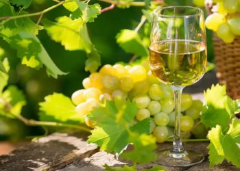 Un bicchiere di vernaccia