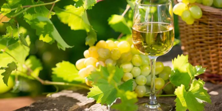 Un bicchiere di vernaccia