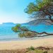 La Spiaggia di Mugoni ad Alghero. 📷 Depositphotos