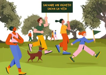 Camminata tra gli olivi