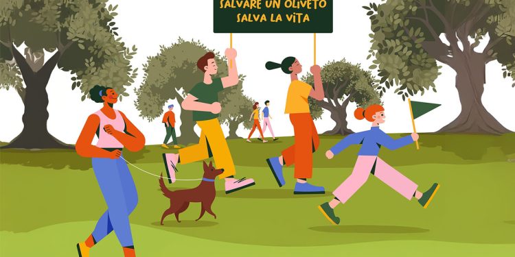 Camminata tra gli olivi