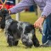 ? Depositphotos