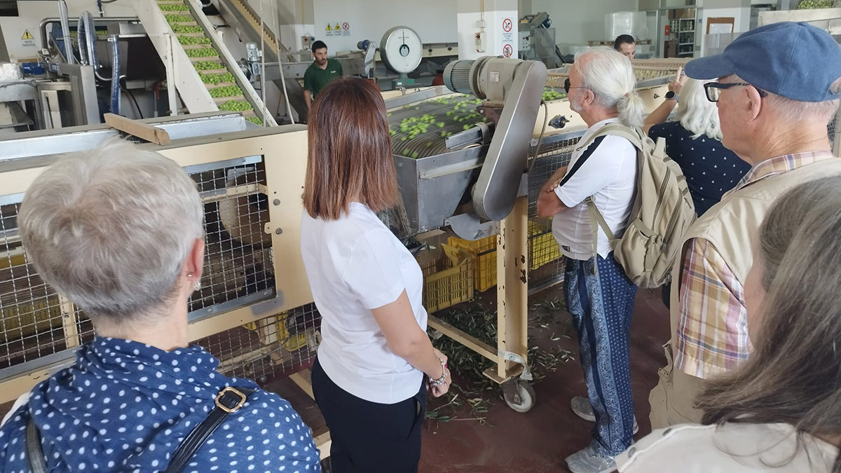 Festival Atobius, la spremitura delle olive