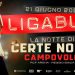 Ligabue "La notte di certe notti", evento Campovolo 21 giugno 25