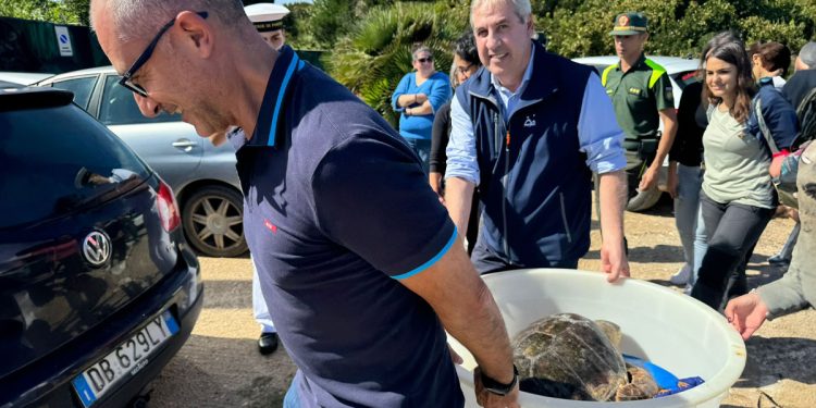 Liberazione di due Caretta Caretta a Tramariglio