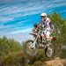 Motorally Sandalion