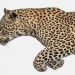 “Selvatico. Storie di animali selvatici attorno a noi e in terre più remote”, progetto del fotografo naturalista Fabio Ghisu