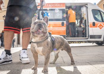 SterilizzaTour 2024 organizzato da LAV a Sassari