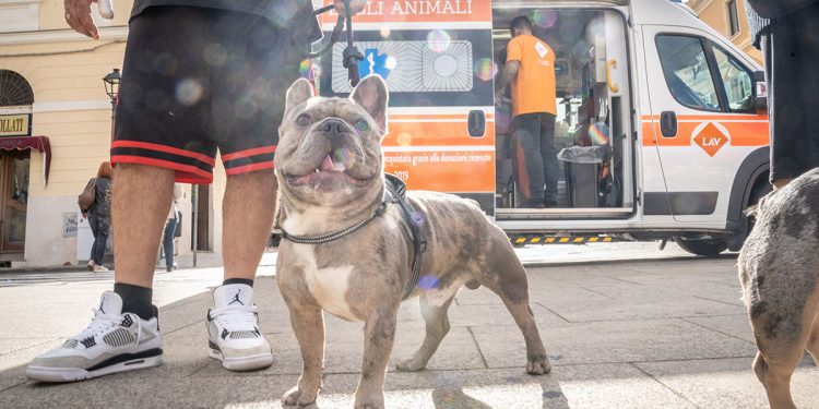 SterilizzaTour 2024 organizzato da LAV a Sassari