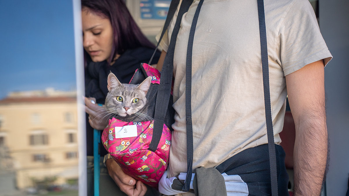 SterilizzaTour 2024 organizzato da LAV a Sassari