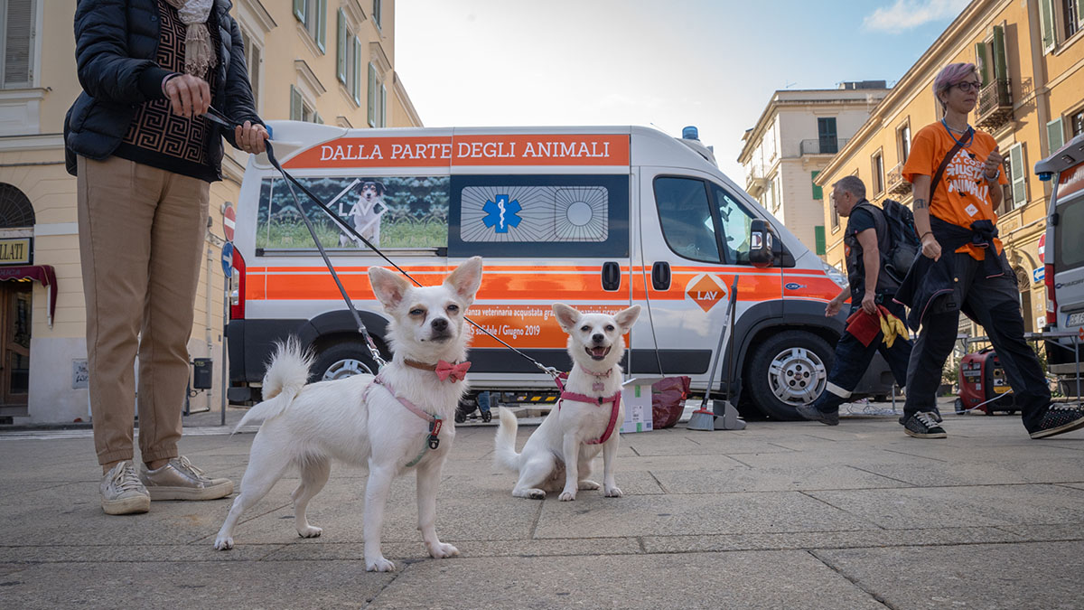 SterilizzaTour 2024 organizzato da LAV a Sassari