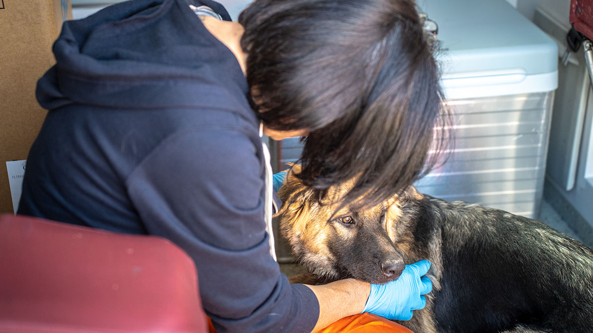 SterilizzaTour 2024 organizzato da LAV a Sassari