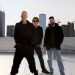 Sting 3.0 World Tour. ? livenation.it