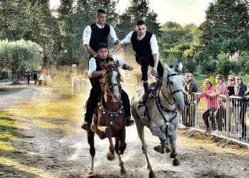 Su Pannu 'e Santu Pedru. ? Chicco Lecca