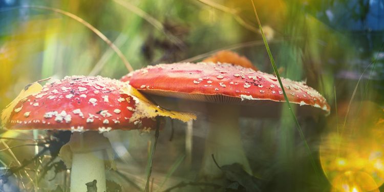 ? Depositphotos
