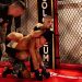 Colosseum Fight Night