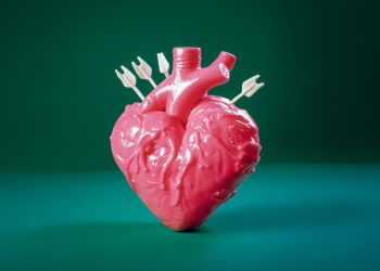 Follya "numero uno". Cover Laura Carugati