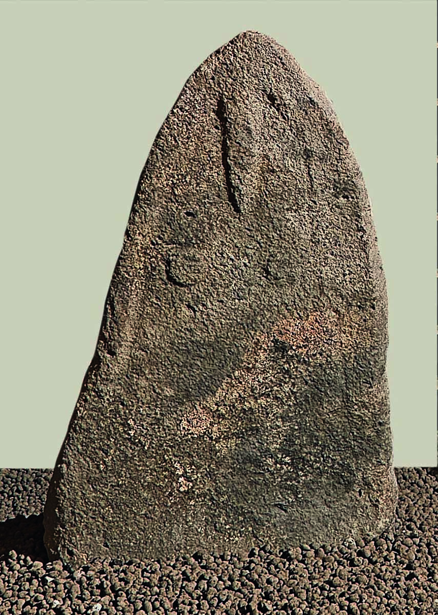 Museo Nivola