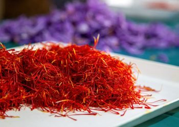Zafferano di Sardegna DOP