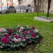 Un'aiuola a Cagliari