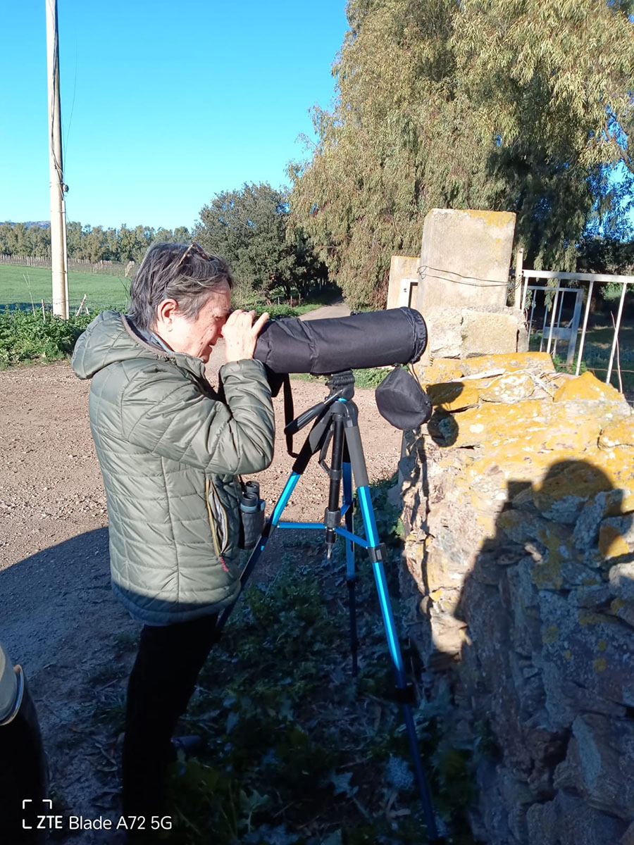 Censimento del grifone in Sardegna - LIFE Safe for Vultures