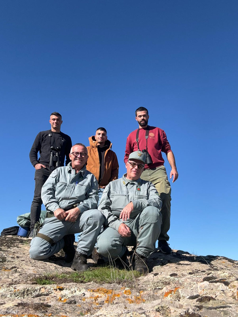 Censimento del grifone in Sardegna - LIFE Safe for Vultures