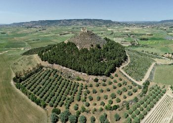 Castello di Las Plassas. ? Teravista