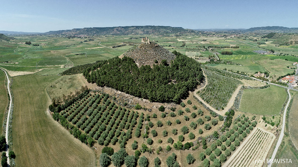 Castello di Las Plassas. ? Teravista