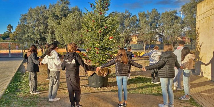 Flumini di Quartu, studenti intorno al pino della scuola di via Is Pardinas