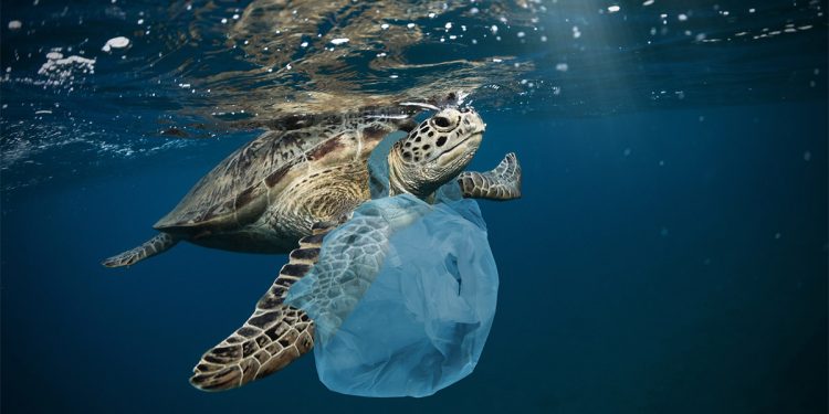 ? Depositphotos