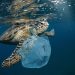 ? Depositphotos
