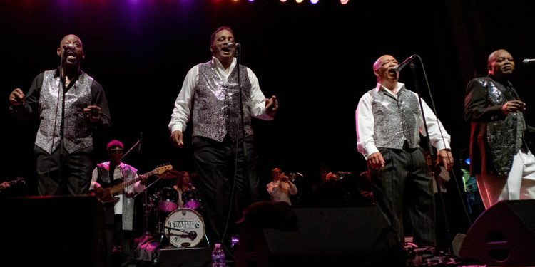 The Trammps