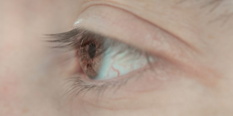 Docufilm "After the Last Image" di Alessandra Tocco
