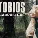 "Atobios de Carrasegae" Paulilatino