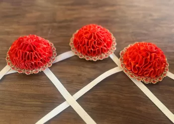 Le rosette rosse della Sartiglia
