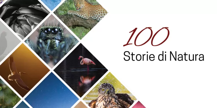 Mostra "100 Storie di Natura" Parco delle Arti Molineddu