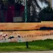 Murale di Retro al Margine Rosso dedicato al Parco di Molentargius