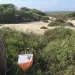 Orienteering 4 Research Sardinia