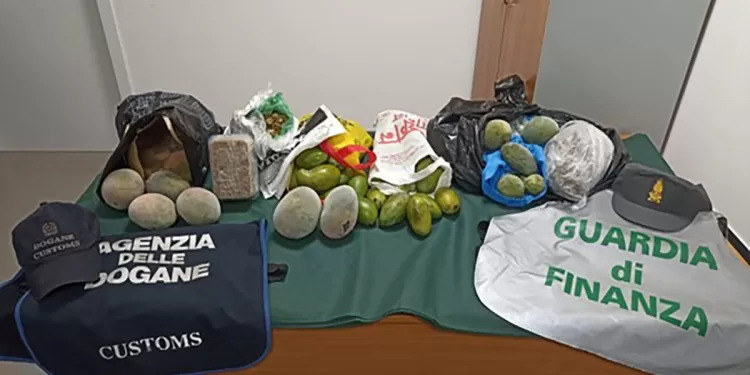 ADM e GDF, sequestro di alimenti